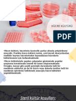 Hücre Kültürü Sunum PDF