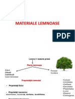 1 semifabricate lemnoase sc16