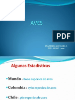 AVES