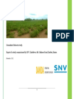 Groundnuts Subsector Study. Report of A Study Commissioned by SNV Zimbabwe, 6th Caithness Road, Eastlea, Harare