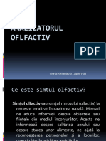 Analizatorul Oflfactiv