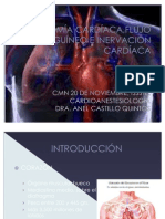Anatomía Cardíaca, Flujo Sanguíneo e Inervación Cardíaca