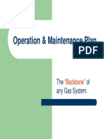 Operation & Maintenance Plan: The of Any Gas System
