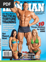 Download Iron Man - USA 5 2007 by api-39180899 SN55494207 doc pdf