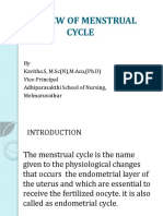 A&p - Review of Menstrual Cycle