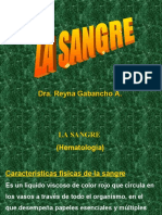 Semiologia Sanguinea I - Dra Gabancho