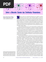 Sobre o Discreto Charme das partículas Elementares