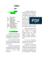 Sistema Político Português - Apontamentos PDF (1)
