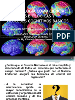 Bases Biológicas de La Conducta Neuro Corteza Cerebral