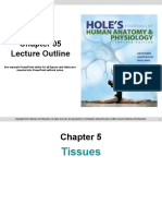 Hole's Essentials of Human Anatomy & Physiology Twelfth Edition - Chapter 5 Lecture Outline