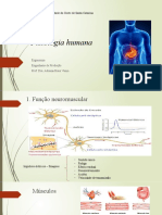 Aula 4 - Fisiologia