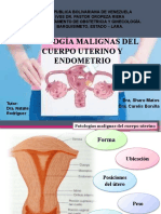 P. Malignas Del Cuerpo Uterino y Endometrio