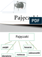 Pajęczaki