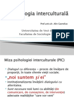 1 Gavreliuc Specificul Psihologiei Interculturale4