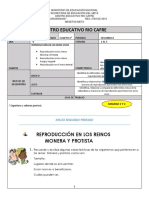 Guia Ciencias Naturales Grado 4° Semana 1 Al 5