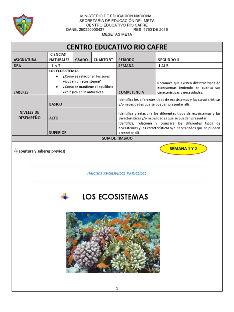 Actividades de Ecosistemas para Quinto Grado | PDF | Ecosistema | Ecología