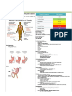 112 Obes Ty Los: Anatomy: Embryology of The Gut