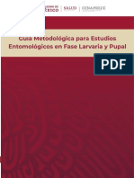 Guia Metodologica para Estudios Entomologicos en Fase Larvaria y Pupal 2020 Compres