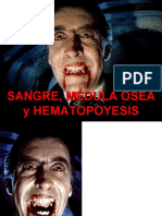 Histo Sem 8 Sangre. Médula Ósea y Hemocitopoyesis