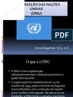 Organização Das Nações Unidas