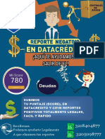 Brochure Datacredito