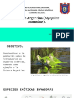 Cotorra Argentina - Presentación.