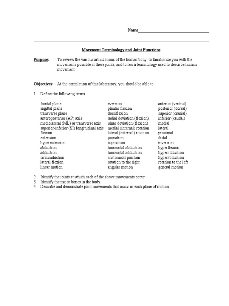 Movement Terminology Worksheet2 PDF Anatomical Terms Of Motion Anatomical Terms Of Location