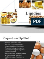 Lipidios