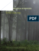 Bosque Mesofilos de Montana de Mexico Di