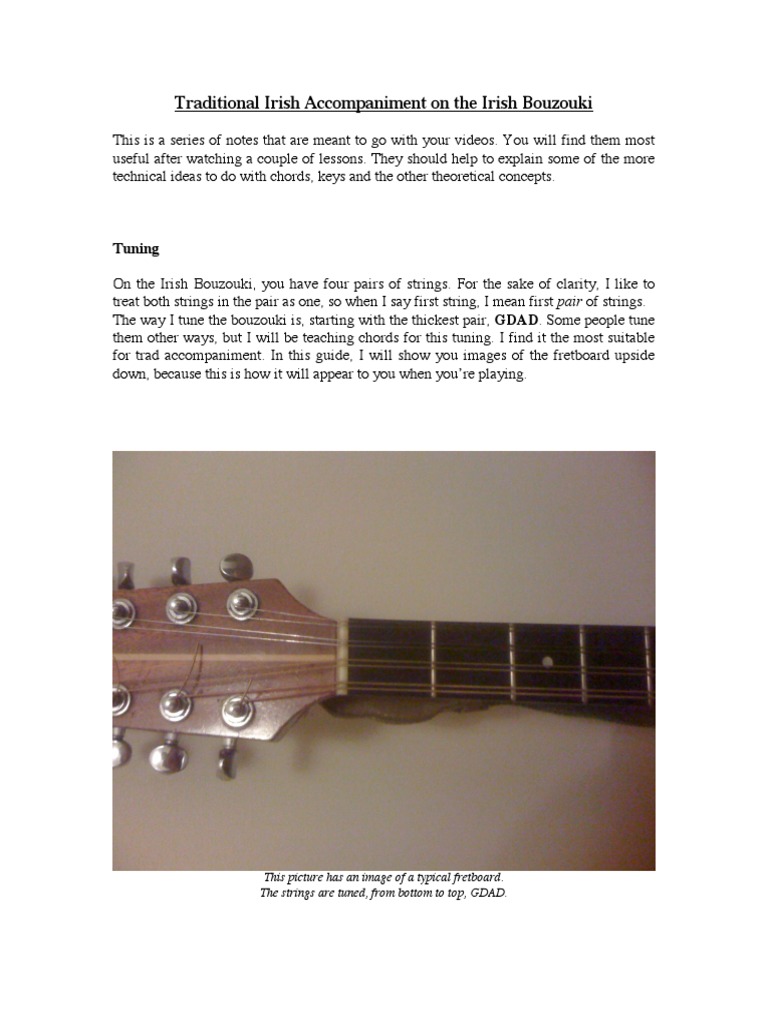 Traditional Irish On The Irish Bouzouki Tuning PDF