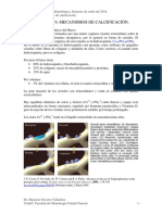 BIOQUÍMICA 2015 - 09 Calcificación