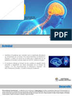 Tarea Cerebro