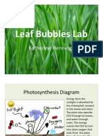 Leaf Bubbles Lab PDF - Katherine Hennings 1