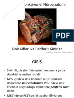 Fonksiyonel Nöroanatomi (PDFDrive)