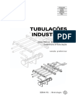 Apostila de Tubulação Industrial (Para Mecânicos)