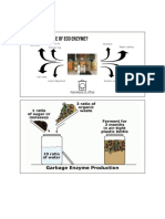 Pembuatan Eco Enzym