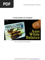 Download WhiteBalancebyMohdHafizAl-BanjariSN55506264 doc pdf