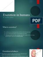 Excretion in Humans: By: Alanoud Obeidat
