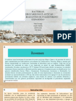 Bacterias Hidrocarbonoclásticas Biodegradantes de Poliestireno Expandido