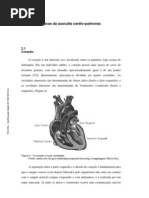 fisiologia da ausculta