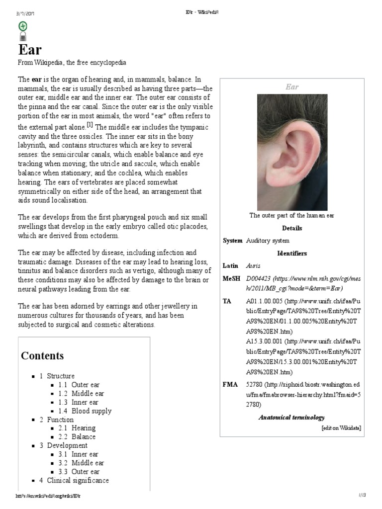 Ear - Wikipedia | PDF | Ear | Neurology