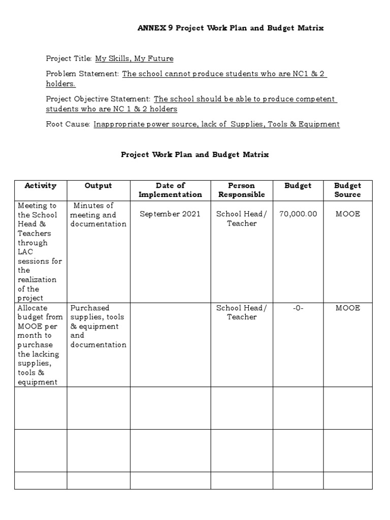 project work plan and budget matrix in research