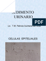 Sedimento Urinario Bioquimica