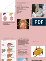 Stenoza Hepatică