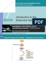 Introduction To The Endocrine System: Human Physiology