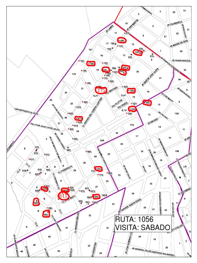 Ruta 1056: Visita Sábado 175-7-611 | PDF