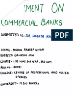 Assignment On Commercial Banks