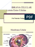 Membrana Celular - Limite entre células 2019-1