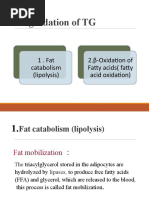 Degradation of TG: 1 - Fat catabolism (lipolysis) 2.β-Oxidation of ...