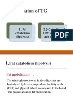 Degradation of TG: 1 - Fat catabolism (lipolysis) 2.β-Oxidation of Fatty acids (fatty acid oxidation)